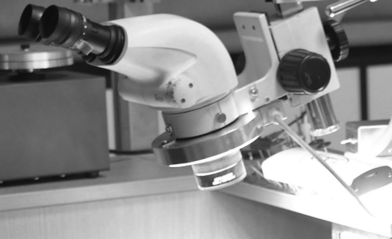 Microscopio incastonatura